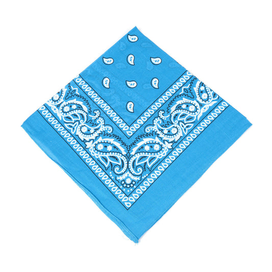 Paisley Bandana | Aqua