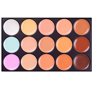 15 PC Concealer - Black Forest Spa
