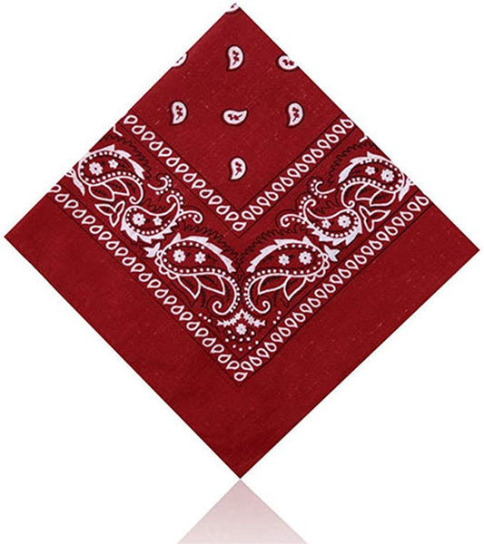 Paisley Bandana | Burgundy