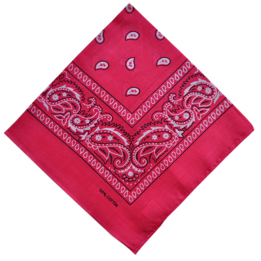 Paisley Bandana | Fuchsia Pink