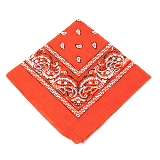 Paisley Bandana | Bright Orange