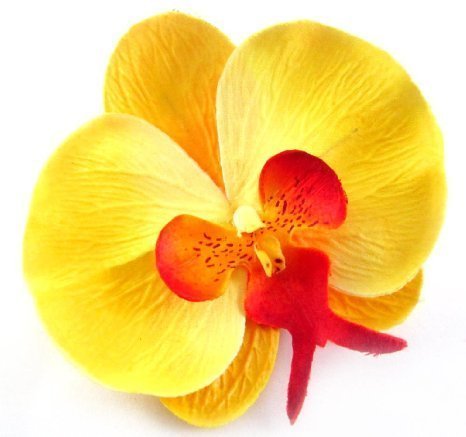 Orchid Hair Clip | Yellow