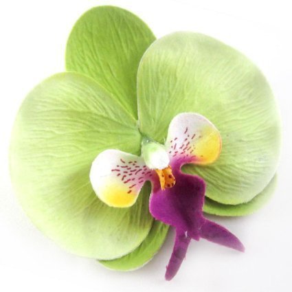 Orchid Hair Clip | Green