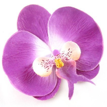 Orchid Hair Clip | Purple