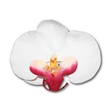 Orchid Hair Clip | White